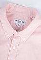 Camisa LACOSTE Rosa de Lacoste