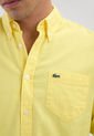 Camisa LACOSTE Oxford Amarillo de Lacoste