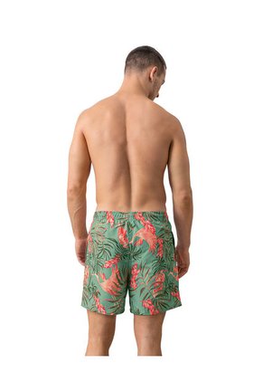 Masculino Swimwear Pantaloneta Multicolor LEO 505033