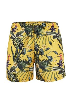 Masculino Swimwear Pantaloneta Multicolor LEO 505033