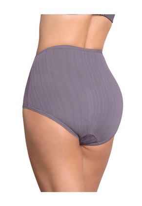 Paquete X 3 Panties Clásicos Con Excelente Cubrimiento 1238X3 Multicolor