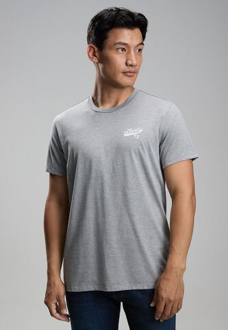 Camiseta Levi's Gris Levis