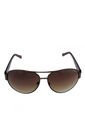 GAFAS BRONCE LEVIS OUTLOOK X14061 de Levis