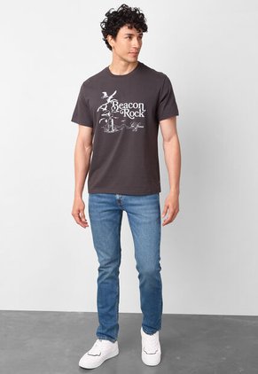 Camiseta Levi's Gris