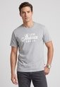 Camiseta Levi's Gris de Levis