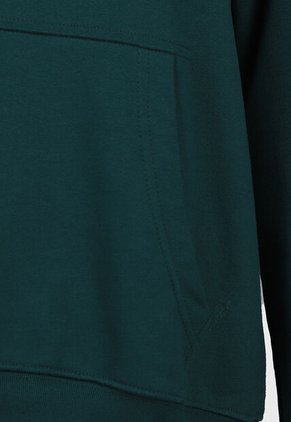 Hoodie Levi's Verde