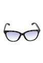 GAFAS HAVANA LEVIS OUTLOOK X13056 de Levis