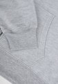 Hoodie Levi's Gris de Levis