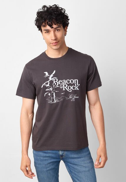Camiseta Levi's Gris
