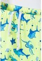 Conjunto De Baño De Littlemic Manga Larga Azul Y Verde Para Niño 2T A 6T 3T de LittleMic