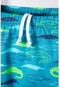 Conjunto De Baño De LittleMic Manga Larga Verde Para Niño 2T A 5T 5T de LittleMic