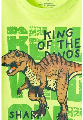 Camiseta De Mic Manga Corta Verde Para Niño 12