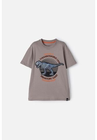 Camiseta  De Mic Manga Corta Taupe Para Niño 10 MARCA MIC
