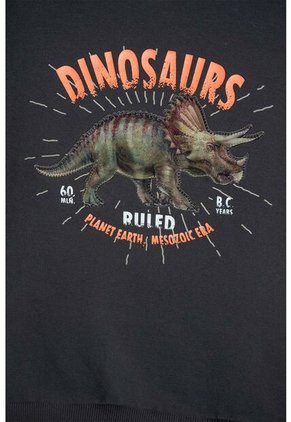 Buzo De Mic Cerrado Gris Para Niño 10