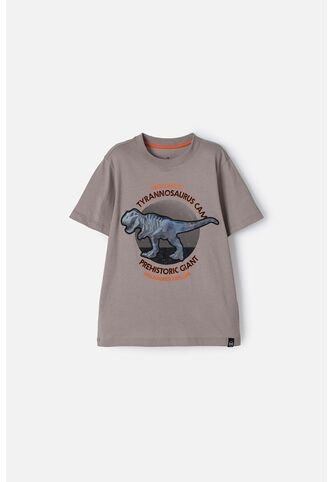 Camiseta  De Mic Manga Corta Taupe Para Niño 8 MARCA MIC