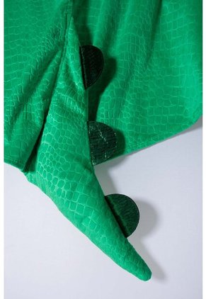 Disfraz Dinosaurio De Mic Para Niño 10