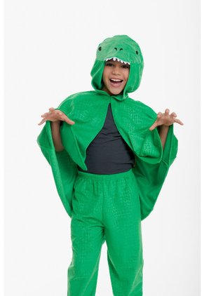 Disfraz Dinosaurio De Mic Para Niño 8