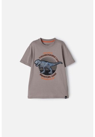 Camiseta  De Mic Manga Corta Taupe Para Niño 10 MARCA MIC