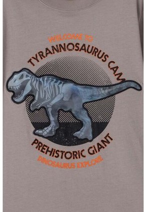 Camiseta  De Mic Manga Corta Taupe Para Niño 10