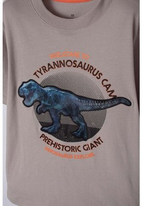 Camiseta  De Mic Manga Corta Taupe Para Niño 10