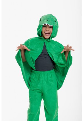Disfraz Dinosaurio De Mic Para Niño 6