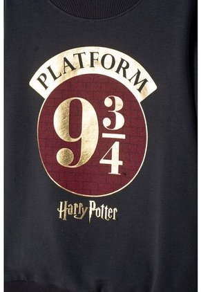 Conjunto De Harry Potter Pantalón Largo Gris Para Niño 14