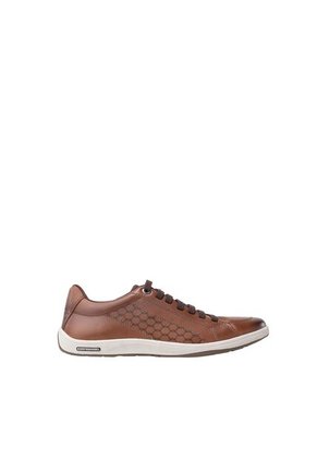 Tenis Fabio Chocolate Trecking Tenis Fabio Chocolate Trecking Talla 40