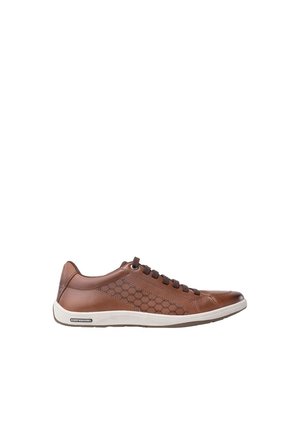 Tenis Fabio Chocolate Trecking