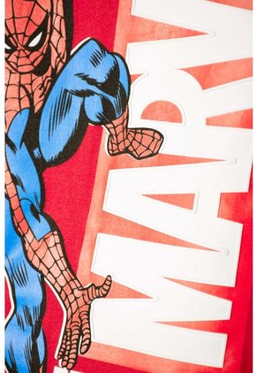 Conjunto De Spider-man Con Pantalón Multicolor Para Niño 12
