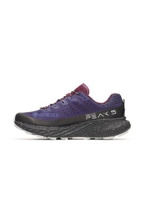 Tenis Hombre Merrell AGILITY PEAK 5 GTX Multicolor Merrell