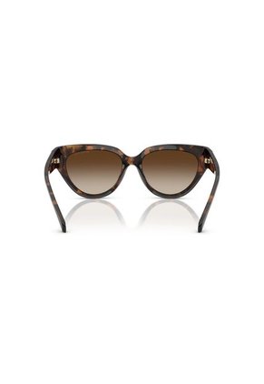 Gafas De Sol Michael Kors Boca Raton MK2241 Marrón Mujer