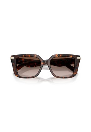 Gafas De Sol Michael Kors Santo Domingo MK2275BU Tipo Carey Mujer Degradé
