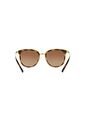 Gafas De Sol Michael Kors Adrianna I MK1010 Marrón Mujer de Michael Kors