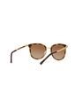 Gafas De Sol Michael Kors Adrianna I MK1010 Marrón Mujer de Michael Kors