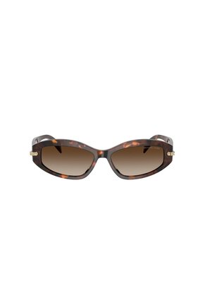 Gafas De Sol Michael Kors Wilmington MK2260 Carey Mujer