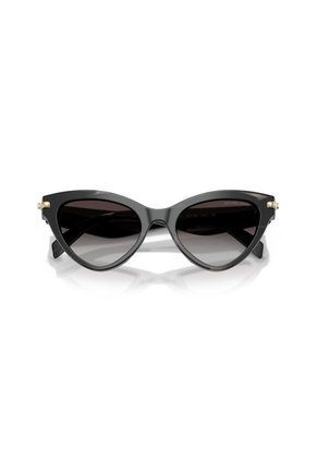 Gafas De Sol Michael Kors Roanoke MK2259 Negro Mujer