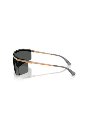 Gafas De Sol Michael Kors Palisades MK1169 Marrón Hombre