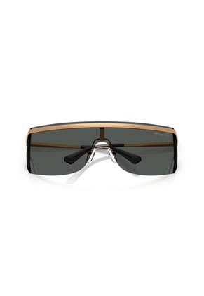 Gafas De Sol Michael Kors Palisades MK1169 Marrón Hombre