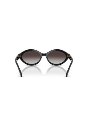 Gafas De Sol Michael Kors Carlazzo MK2257 Negro Mujer