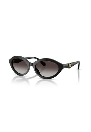 Gafas De Sol Michael Kors Carlazzo MK2257 Negro Mujer