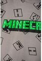 Conjunto De Minecraft Con Pantalón Gris Para Niño 6 de MINECRAFT