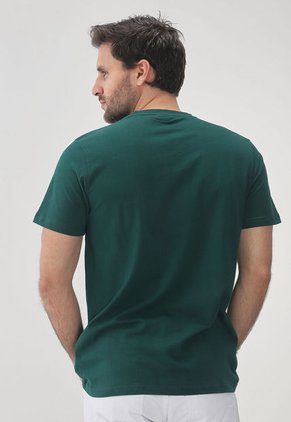Camiseta Verde-Dorado-Naranja NAUTICA