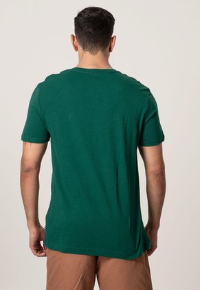 Camiseta Verde-Blanco-Azul Nautica