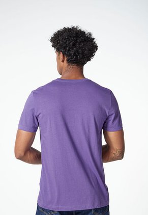Camiseta Violeta-Blanco-Amarillo Nautica