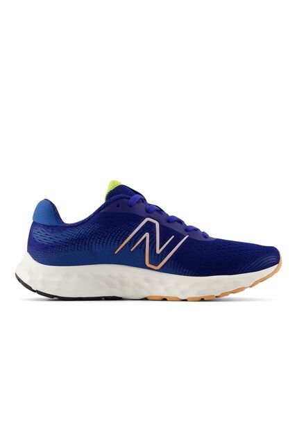 Tenis Deportivos New Balance Original 520 V8 Azul Mujer