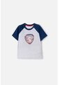 Camiseta De Paw Patrol Manga Corta Gris Para Niño 2T A 6T 3T de Nickelodeon
