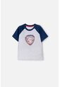 Camiseta De Paw Patrol Manga Corta Gris Para Niño 2T A 6T 2T de Nickelodeon