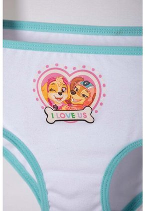 Pack X2 Panties De Paw Patrol Blanco Y Turquesa Para Niña 2T A 6T 3T