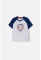 Camiseta De Paw Patrol Manga Corta Gris Para Niño 2T A 6T 3T de Nickelodeon