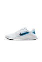 TENIS FLEX TRAIN NIKE de Nike